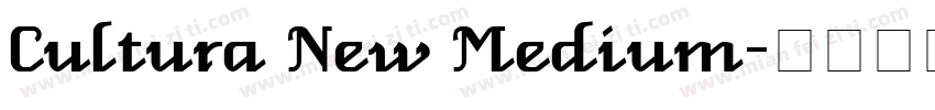 Cultura New Medium字体转换